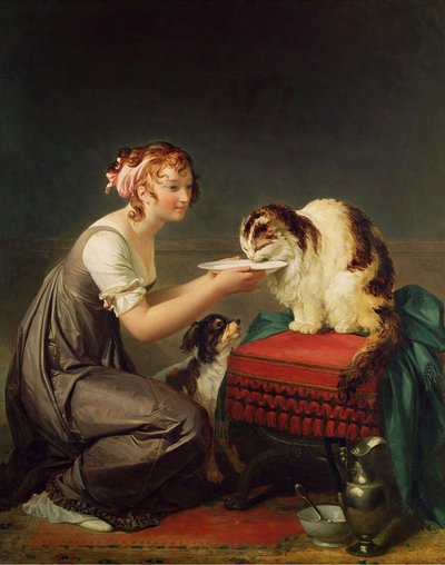 The Cat